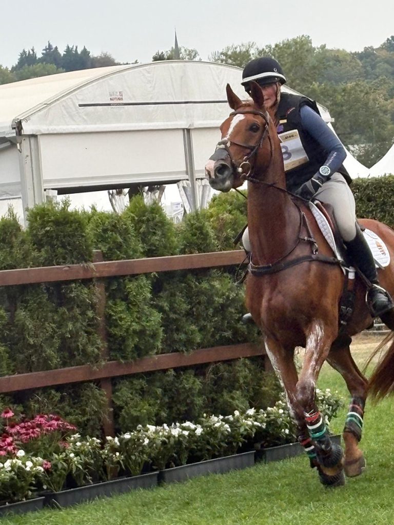 Doerfer Noémi - Piltown Harry